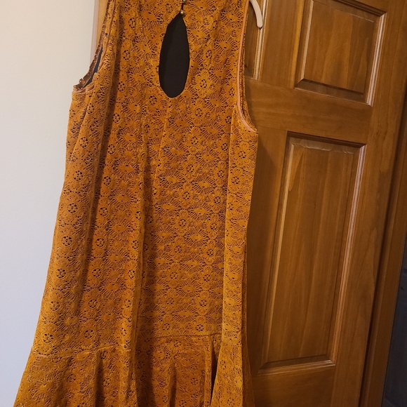 Anthropologie Maeve velvet Amis dress, size 16 - Picture 4 of 5